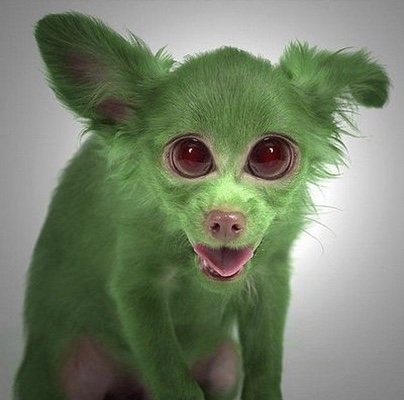 165D1D40-F4A7-4B42-AF69-27BEED0507C0