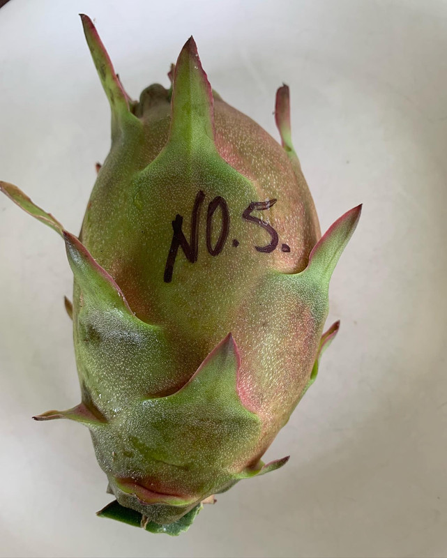 19C53EE6-B45D-41C6-9430-1134A829B20C