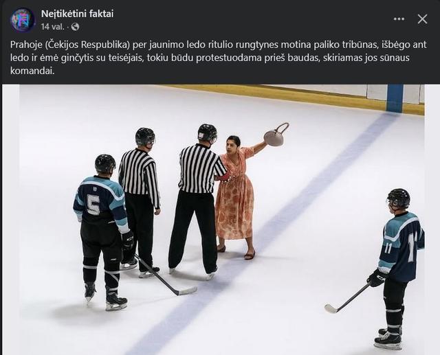 Paveikslėlis