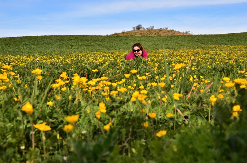 BARRANCAS DE BURUJON-8-3-2015-TOLEDO - Paseando por España-1991/2015-Parte-1 (22)