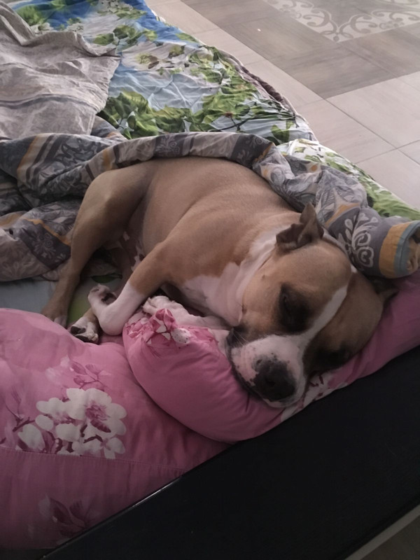 5A779AC0-101C-45F9-A197-C66FD13093CE