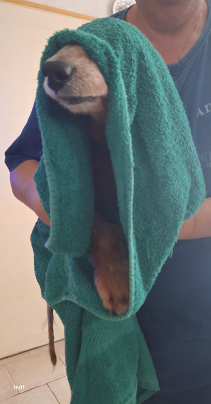 [Image: 20250910-160816.jpg]