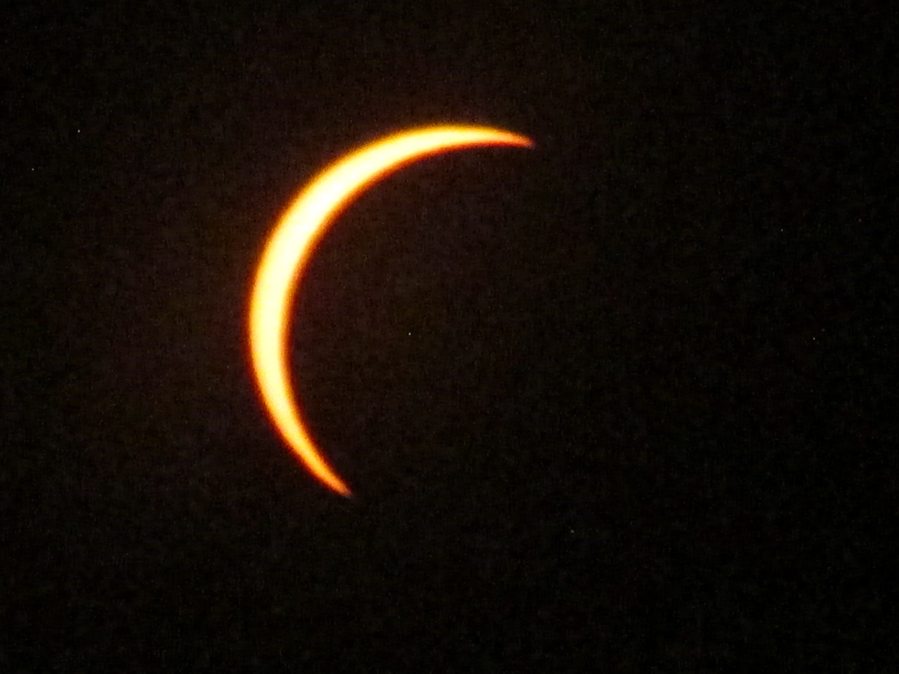 IMG-9954.jpg