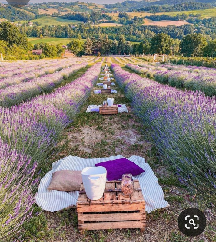 Screenshot_20240331_001204_Pinterest