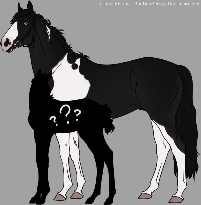 F7E90977-98AC-4583-8A7F-9A2B9DFEDAC7.png