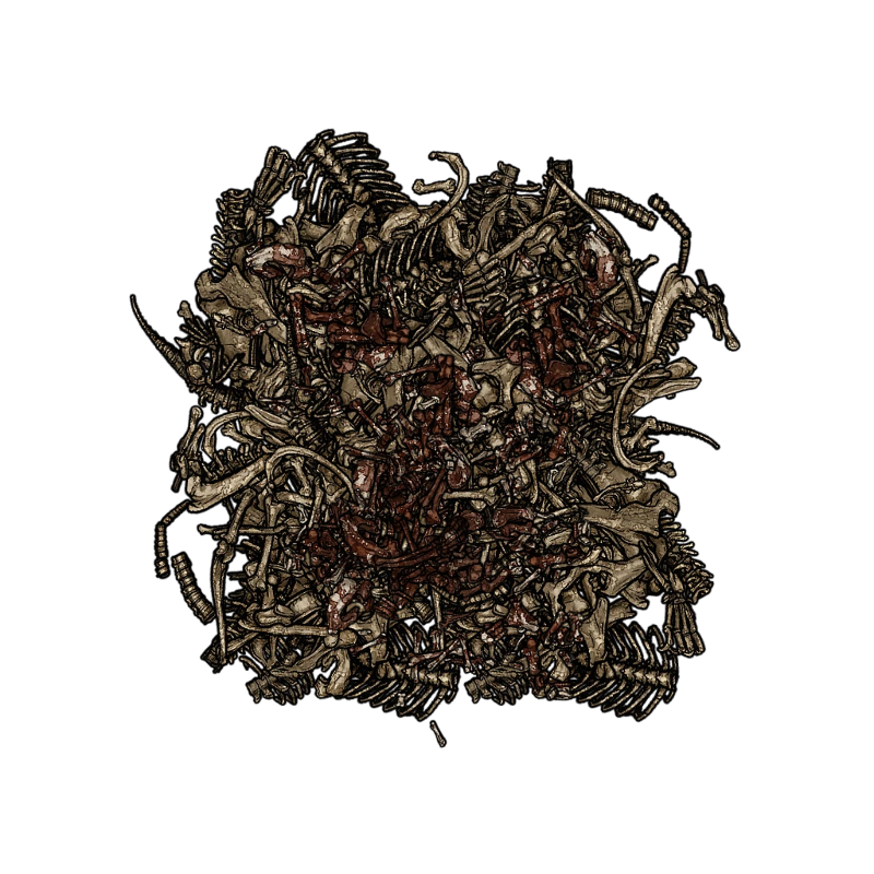 bones