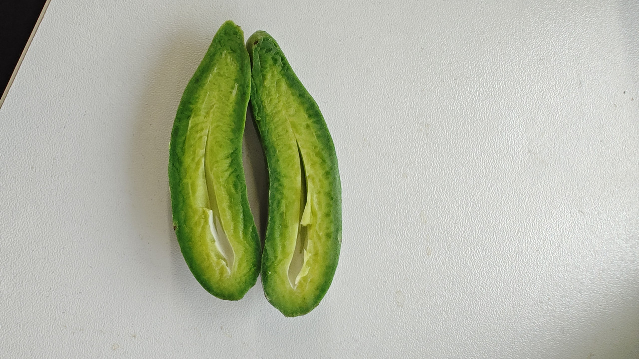 IMG_20250728_125432296