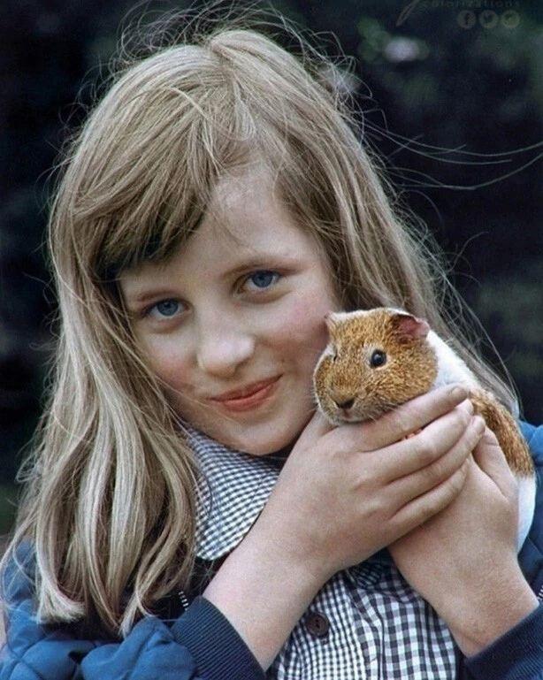 [Изображение: photo-2025-08-24-13-41-45.jpg]
