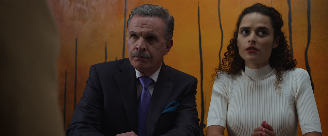 The.Good.Fight.S05E09.And.the.End.Was.Violent.1080p.10bit.AMZN.WEB-DL.DDP5.1.HEVC-Vyndros.mkv_snapsh