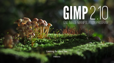 GIMP   Image Editor Pro 2.10.22 Multilingual