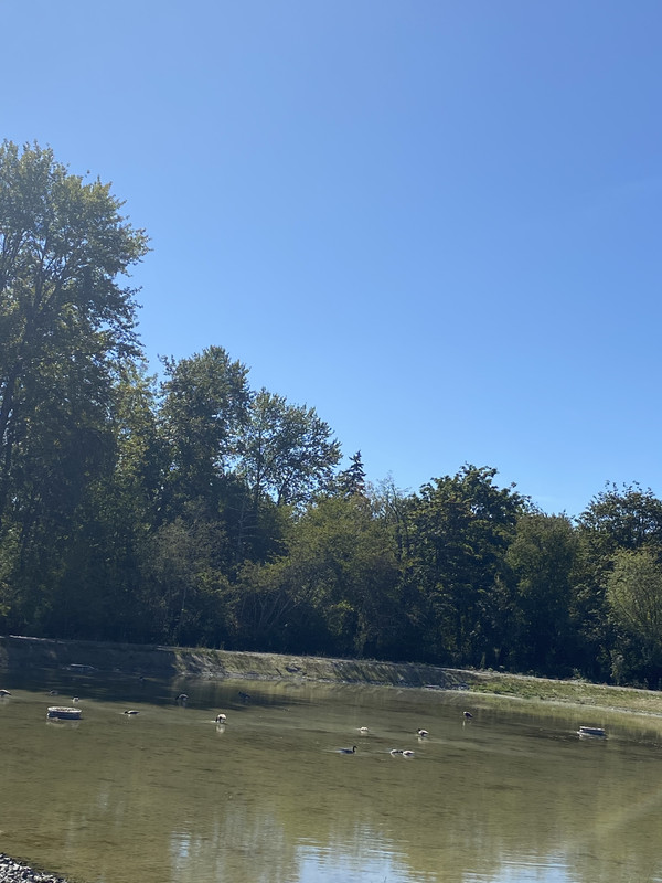 1E2BC02F-93F3-42F9-8EF3-8C2FFF9168E0