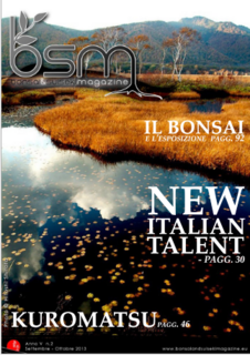 Bsm magazine N. 2 - Settembre/Ottobre 2013