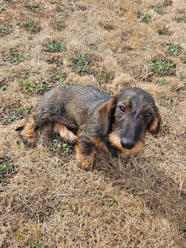 [Image: IMG-20250726-200239.jpg]