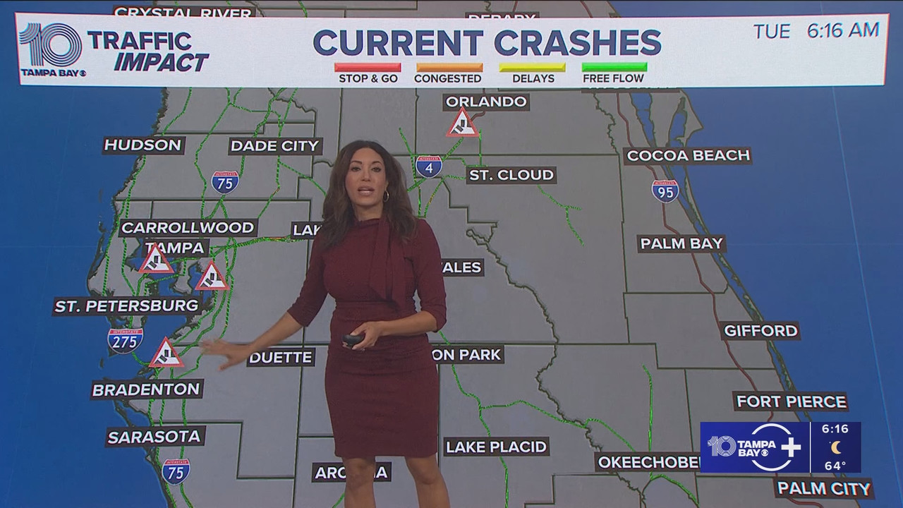 10 Tampa Bay News This Morning at 600 a m 20251118 11001200 ts snapshot 00 17 45 049