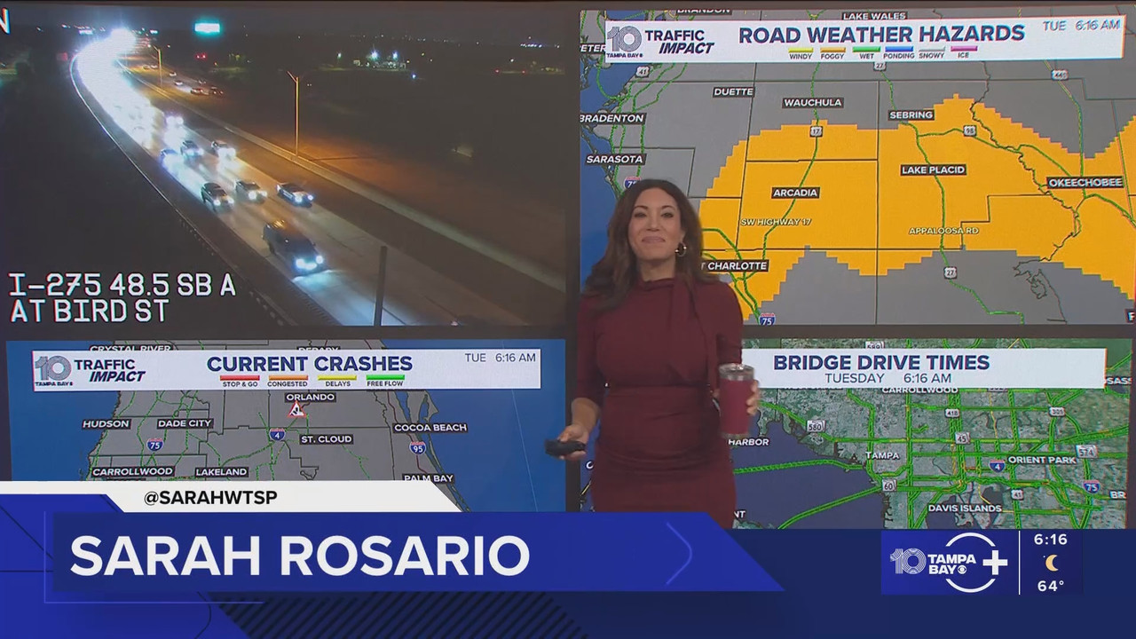 10 Tampa Bay News This Morning at 600 a m 20251118 11001200 ts snapshot 00 17 01 578