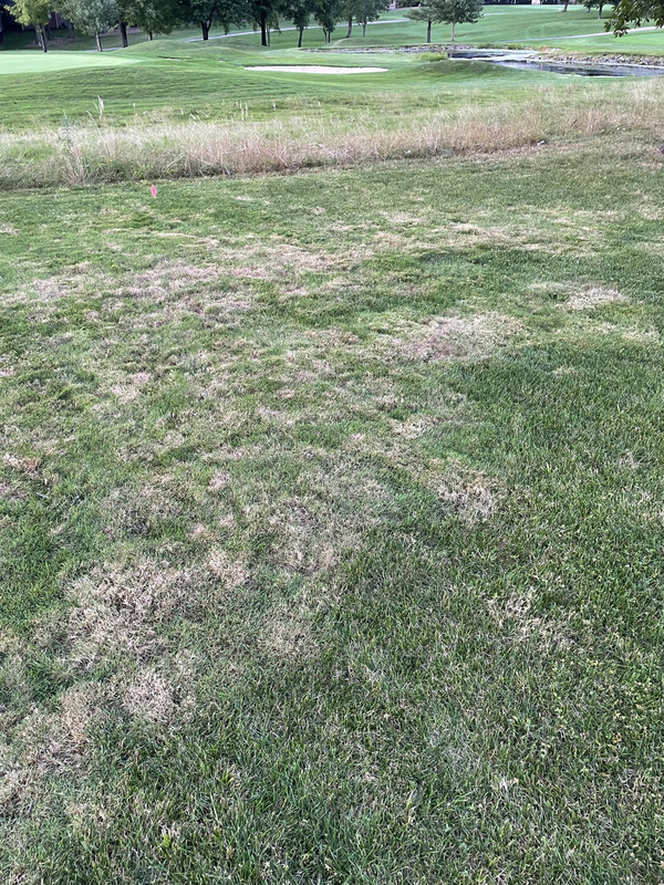 5537B706-1873-401D-A98C-308DEF0168E3