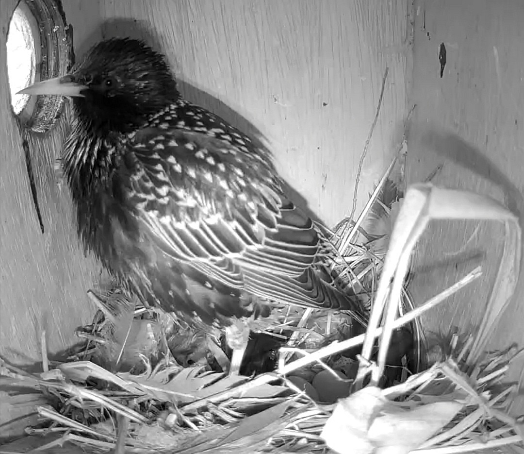 Screenshot 20260403 100546