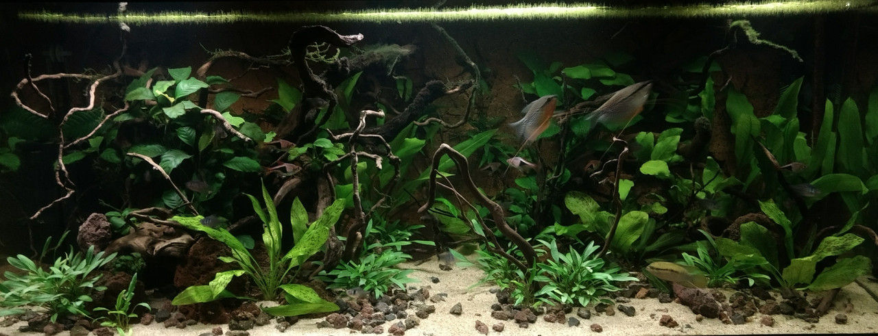 IMG_20180328_204248001