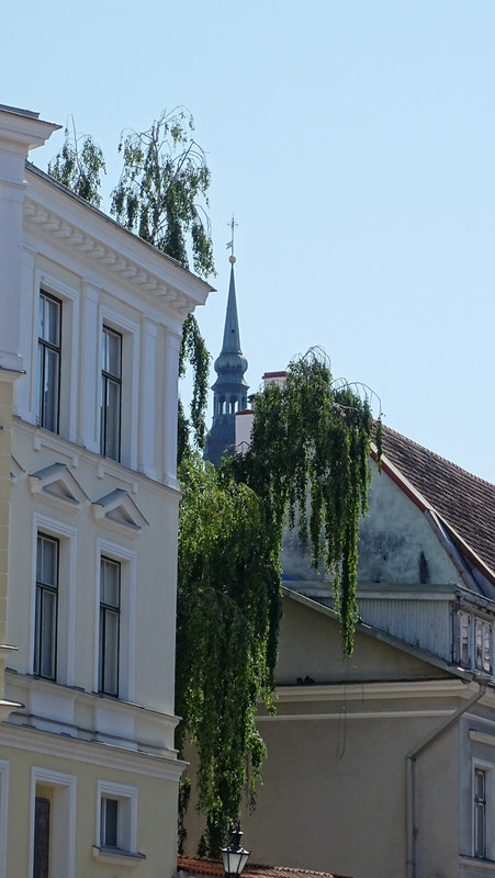 DSC01637.jpg