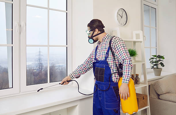 pest-control-t-6.jpg