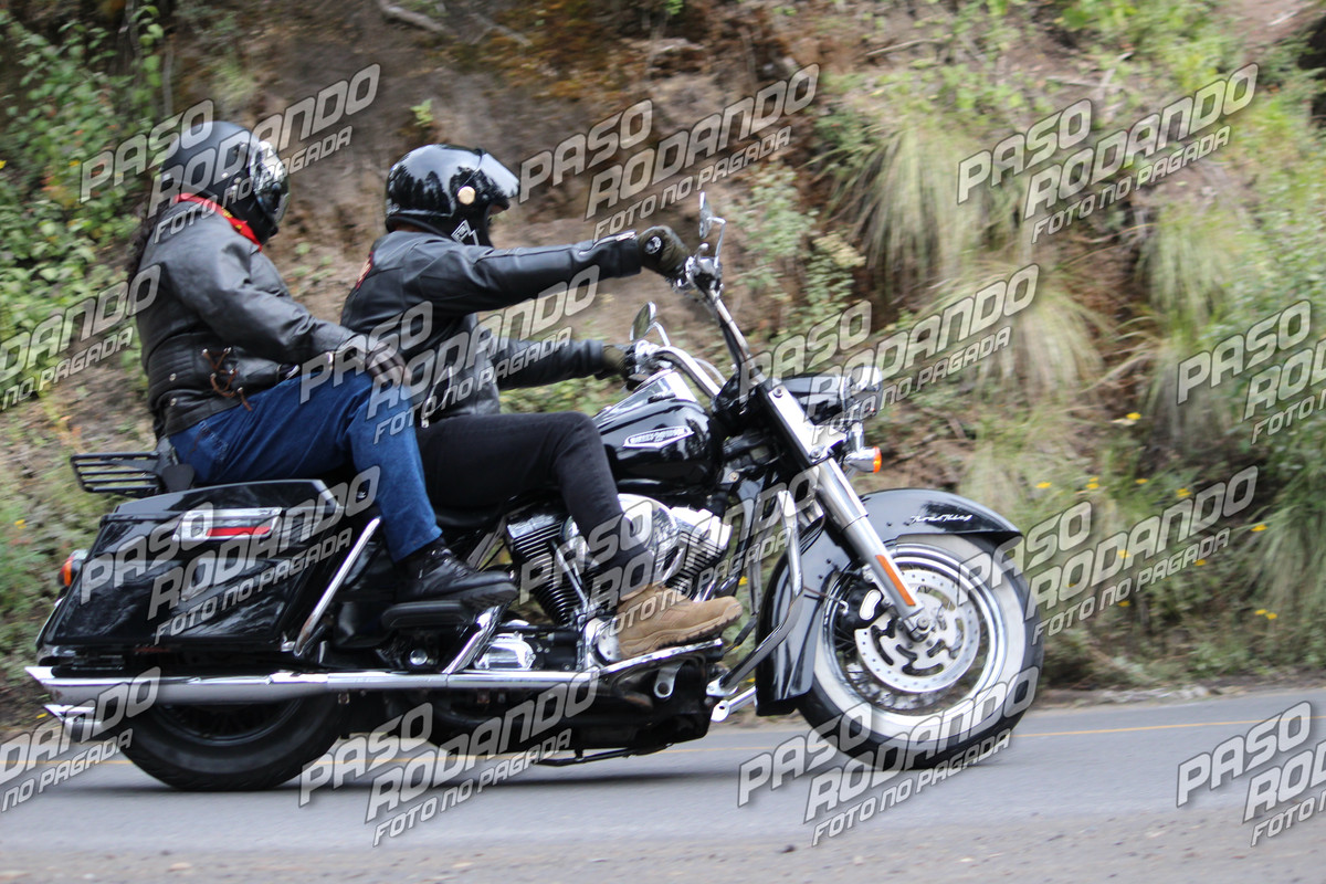 IMG 1144 wm 733076 4000000004 watermarked — Postimages