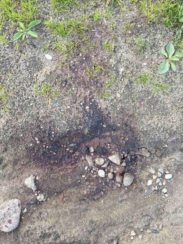 A97F0898-E4BE-46DE-A44C-703352AA9247