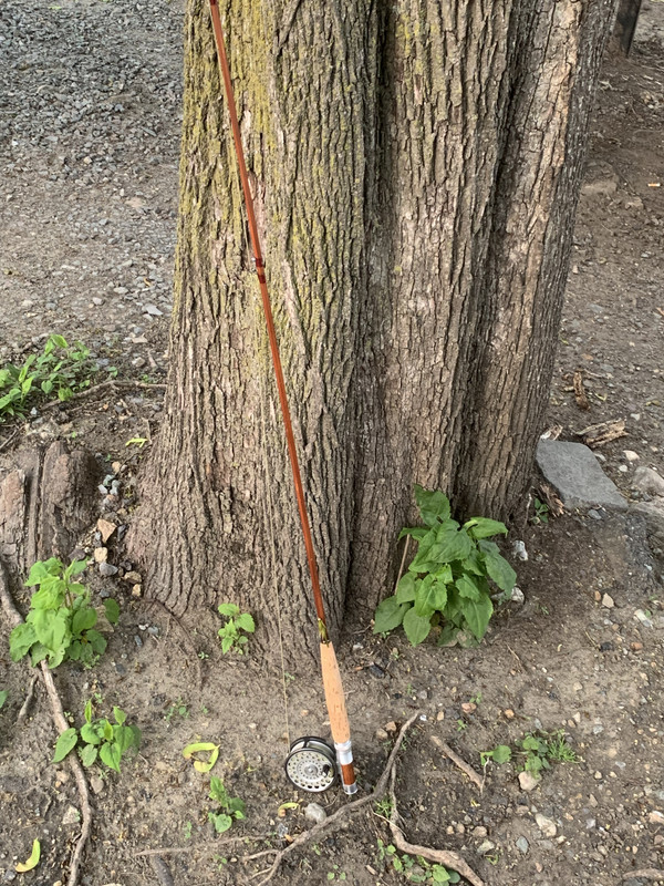 9ABD6A7C-2E91-40AC-A692-B811E819E81C