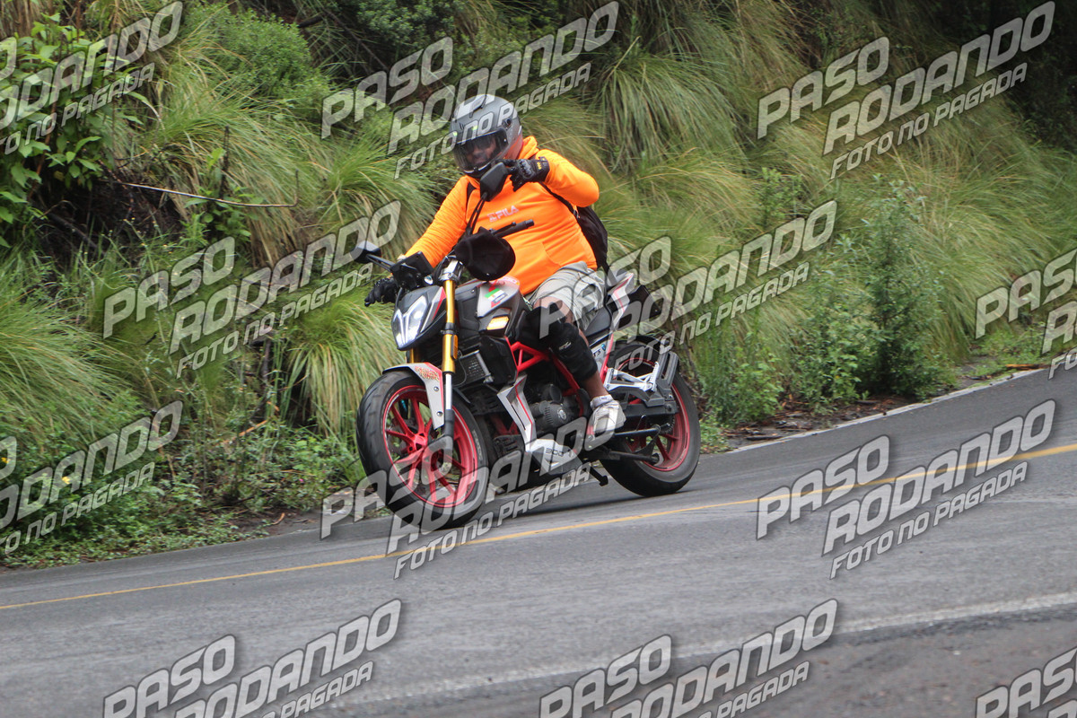 IMG 0470 wm 372926 0999999996 watermarked — Postimages