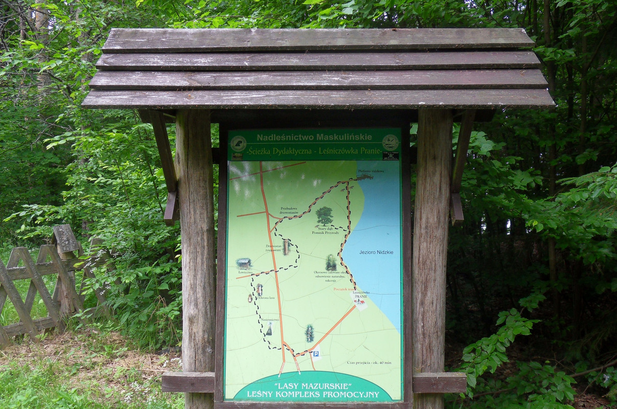 20 - SDC10710 (Czesio1)