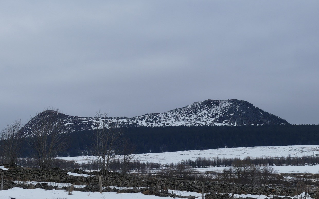 P1080285.jpg