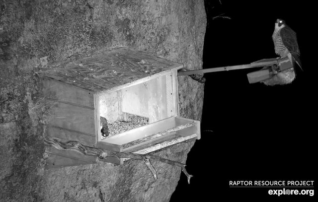 Przechwytywanie w trybie pełnoekranowym 24.03.2025 125619