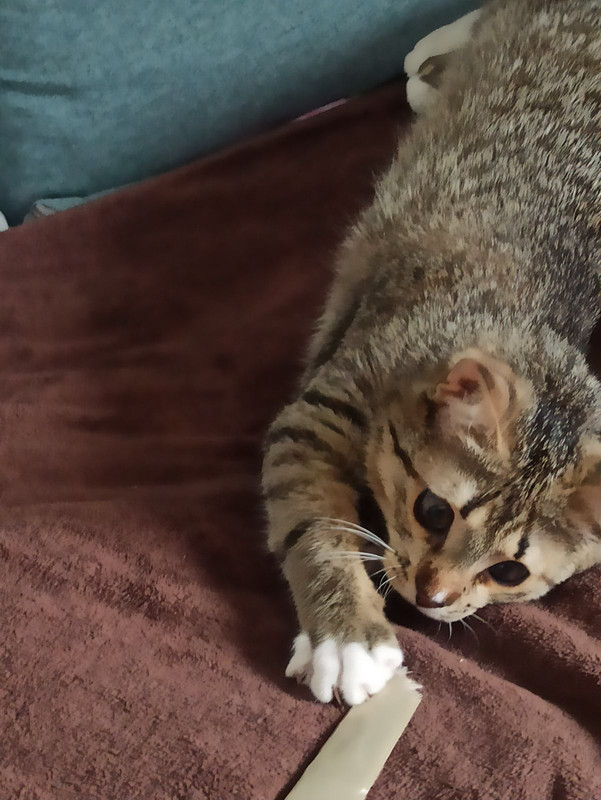 IMG-14c44dda3951ccde55c104693979215e-V