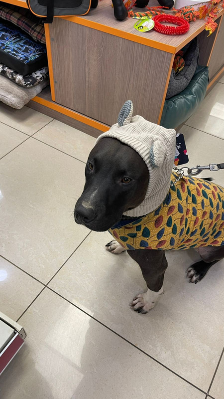 42B7062F-34AB-4B43-80F0-9236A97802EF