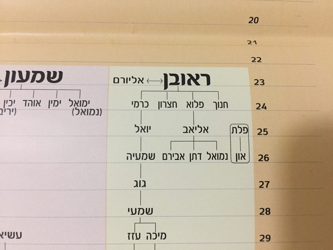 IMG-3370