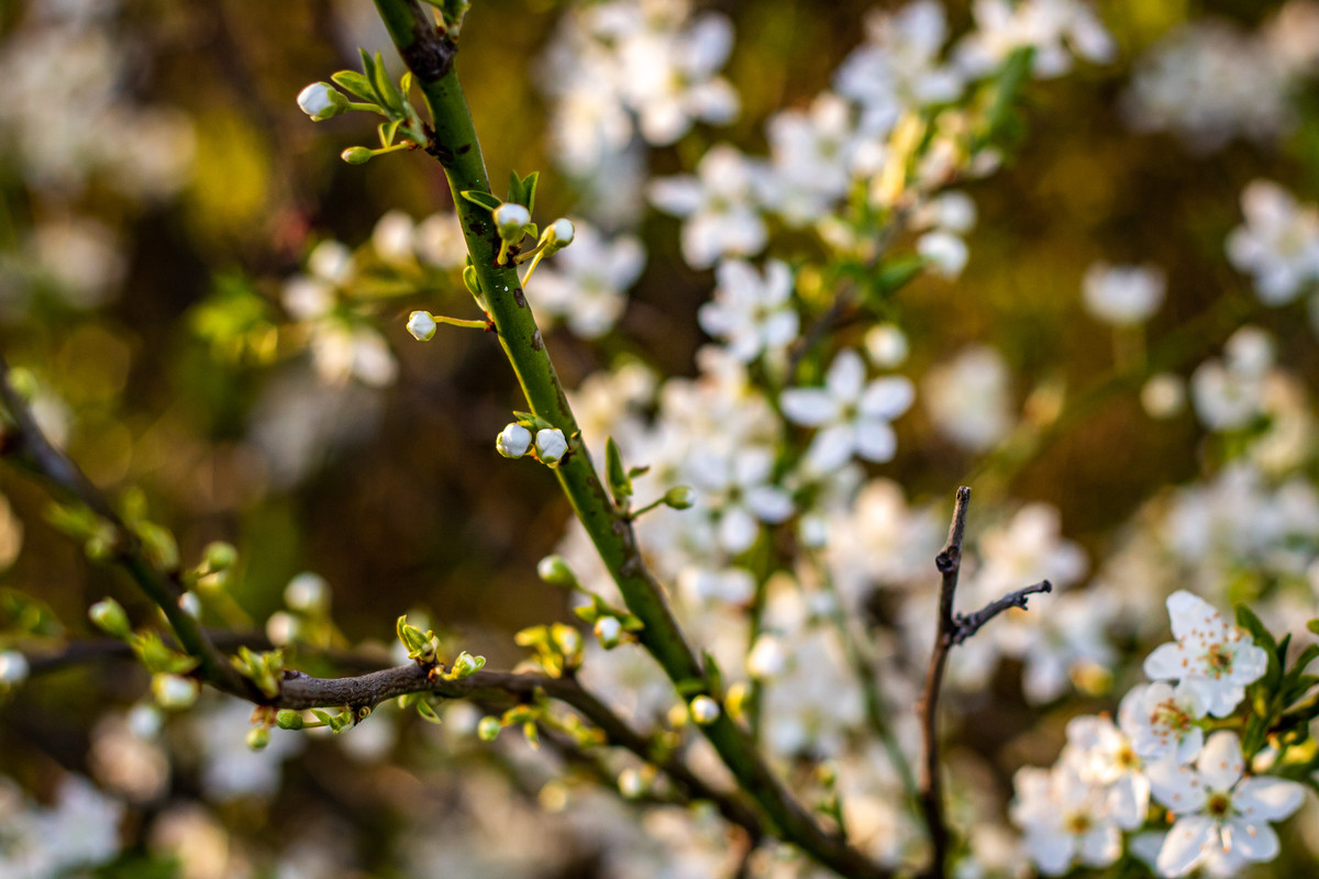 65AFDE48-2149-484C-8CB2-7DA64C4C5AFD