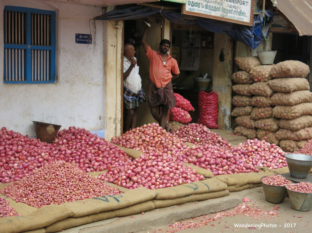 pink-onions.jpg