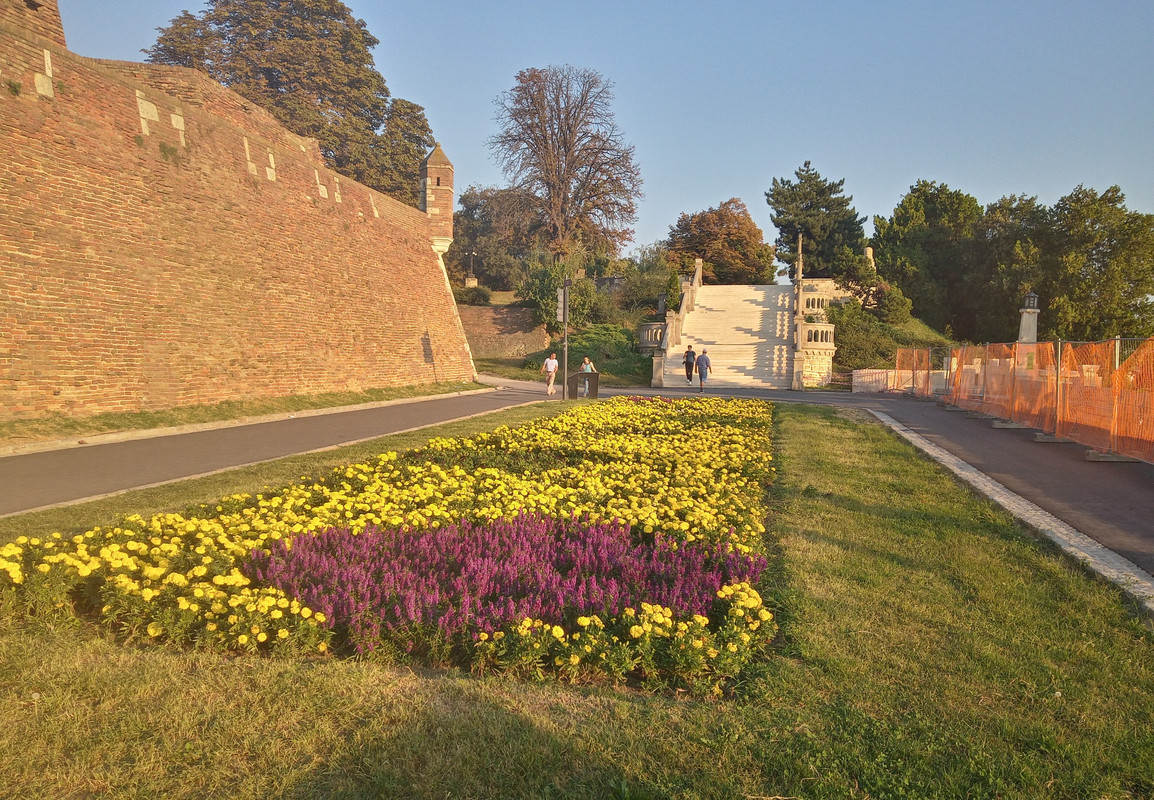 20200911_175107_HDR(1)