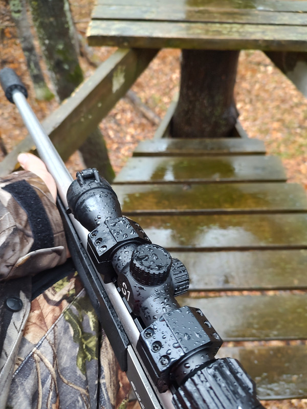 IMG_20241113_151141131_HDR