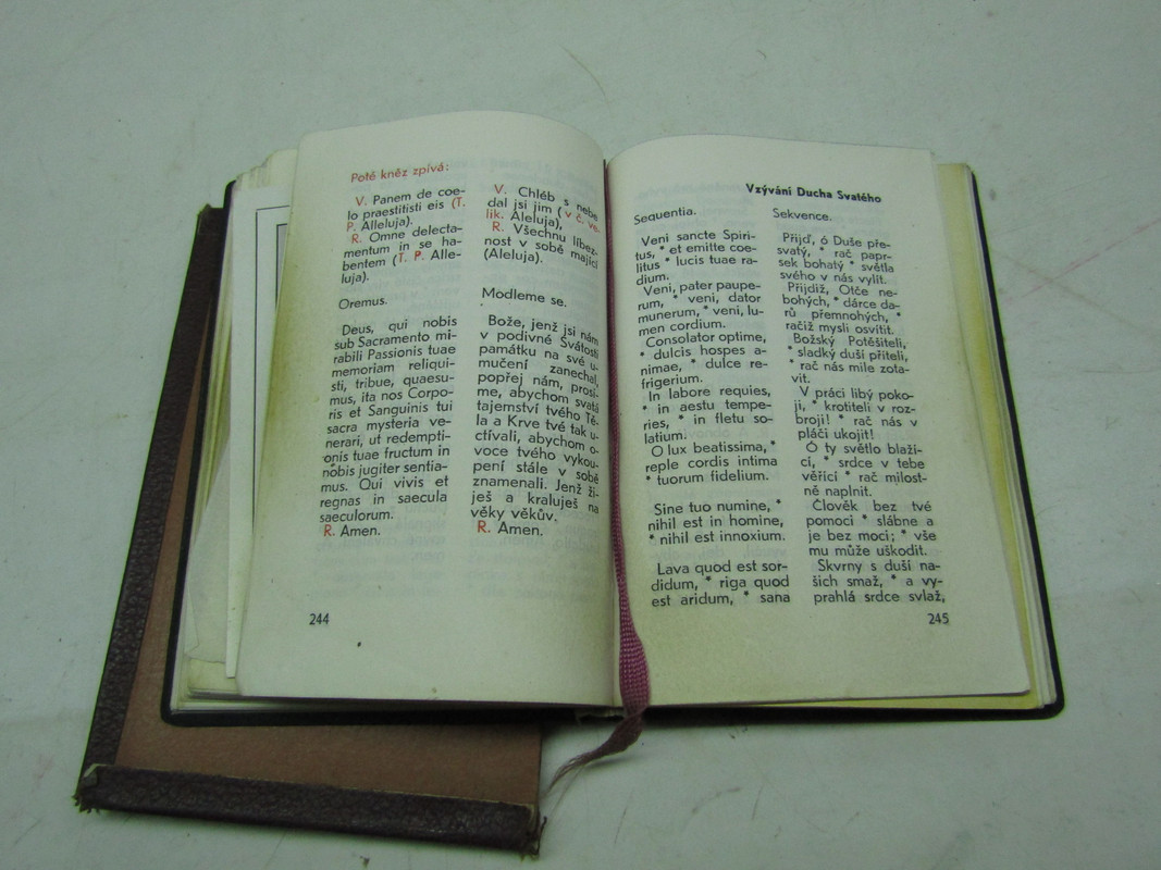 IMG 1324 — Postimages