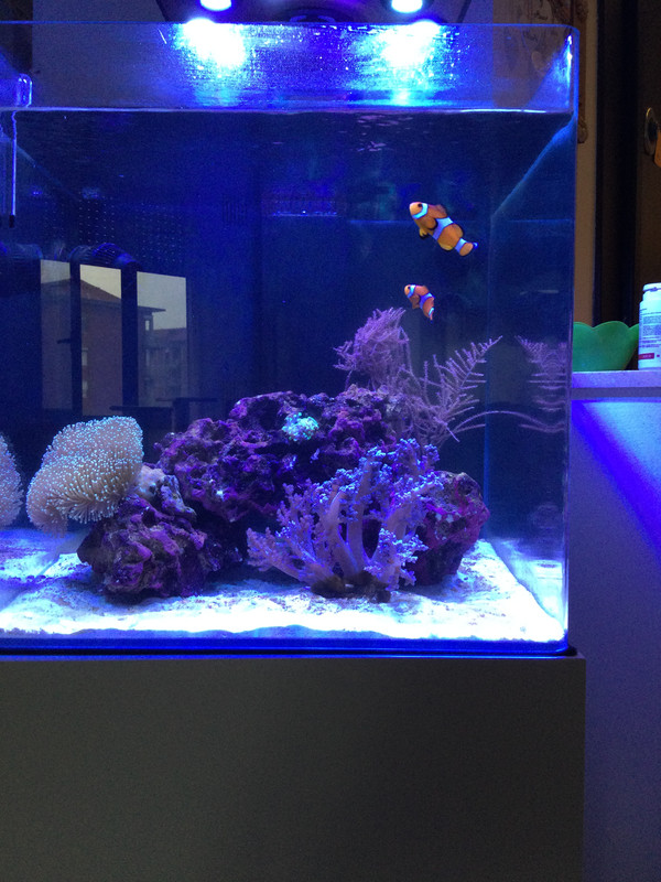 0292D699 6C33 49BF 8726 6959190EF80B