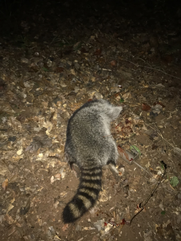 7350DE7C-AC2A-42EA-9664-52D070841549