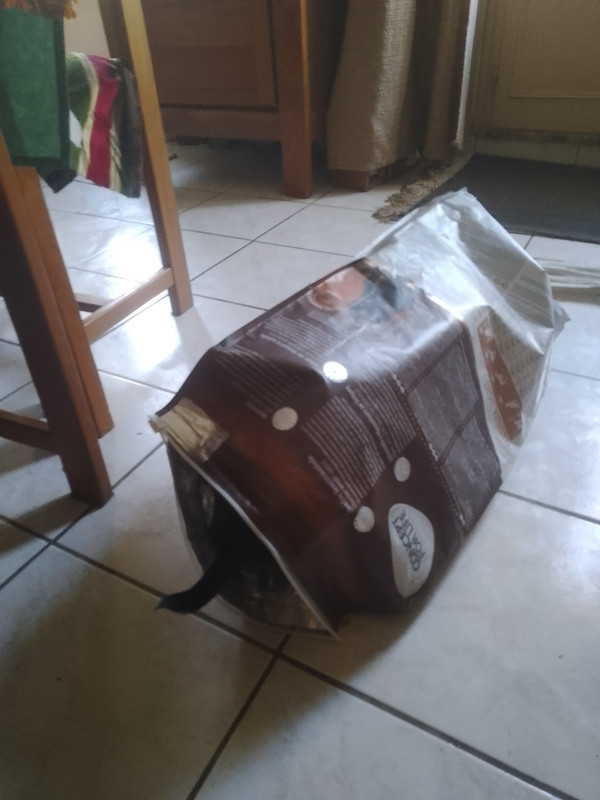 [Image: IMG-20220805-171835.jpg]