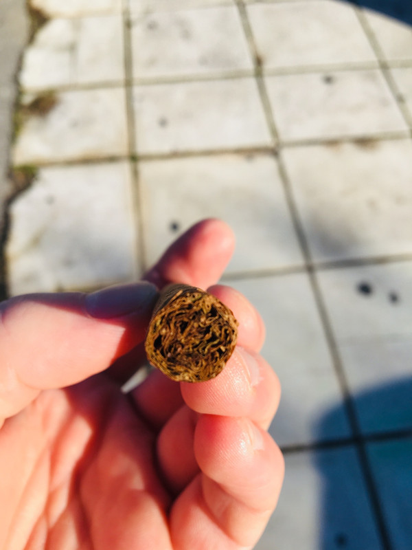 EAE59C42-CC90-4206-BAF5-EE655C091156