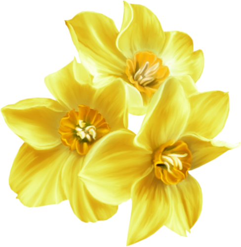 Kit_Just_Bee_In_ME (16)
