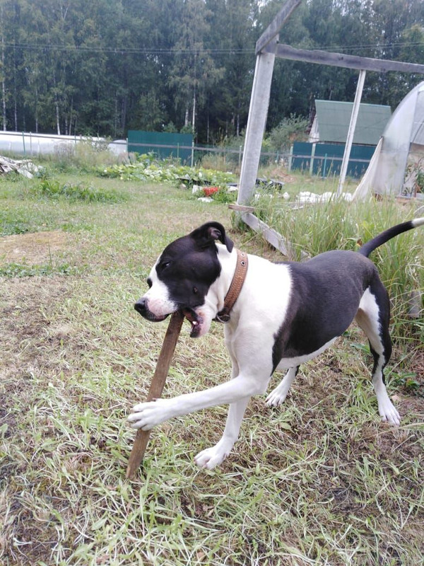 WhatsApp Image 2022-09-05 at 08.57.28 (1)