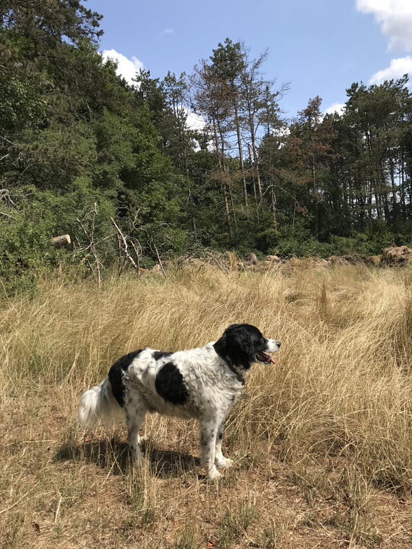 0AF3EEB7-CC6E-4185-91FB-758871A6AD59