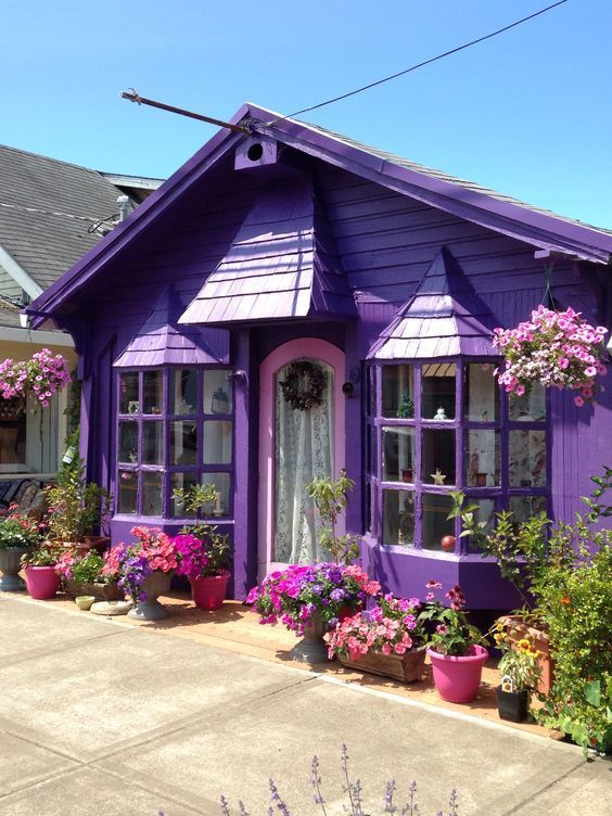 purpleshed.jpg