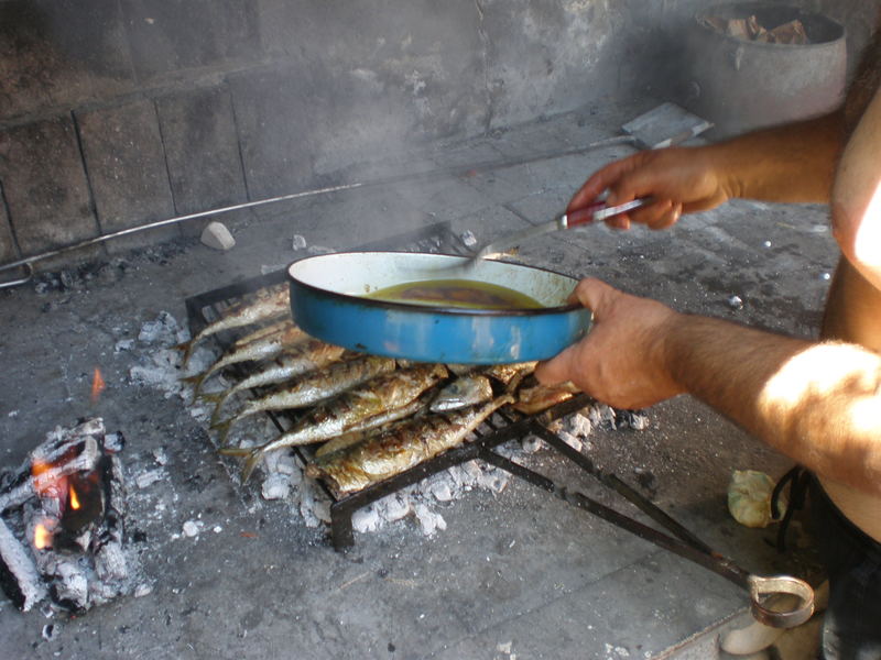 Picturevela luka 309