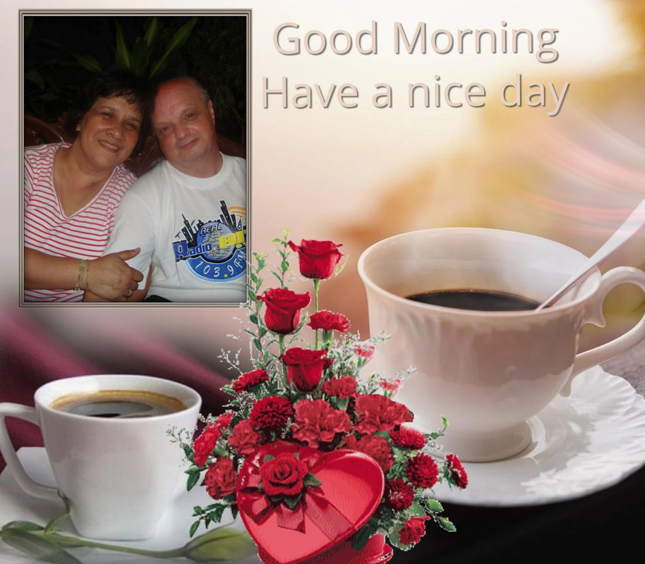 Image and video hosting by TinyPic