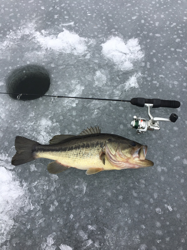 CD8DBCD0-8EFC-4466-B2AA-B56DFA8462E9